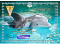 dolphins-wdrcm-40-2412