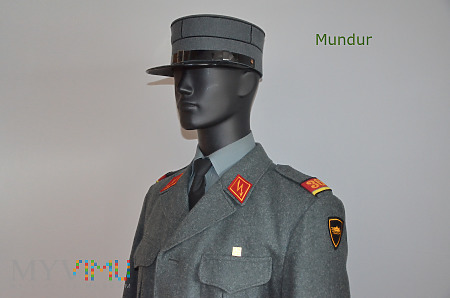 Szwajcarski mundur szeregowego łączności