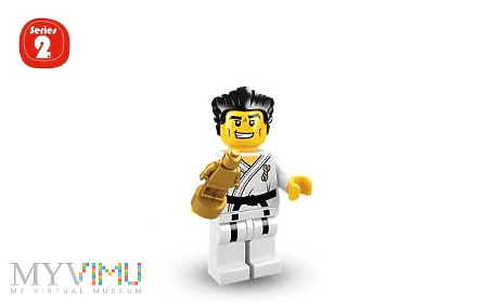 Seria 2 - Mistrz Karate