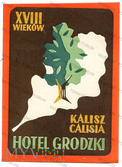 Duże zdjęcie Kalisz - "Grodzki" Hotel