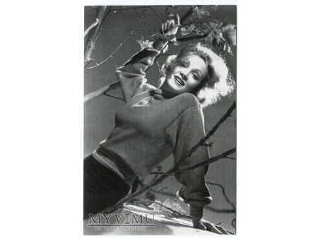 Marlene Dietrich fotografia photo MARLENA