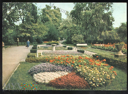 Grudziądz - Ogród botaniczny - 1969