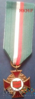 Odznaka Za Zasługi dla ZSMP