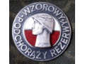 Srebrna Odznaka „WZOROWY PODCHORĄŻY REZERWY”