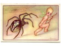 Adolfo BUSI PAJĄK spider ART DECO Postcard