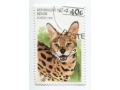 Koty dzikie Benin 1996 zestaw znaczki