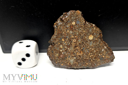 99. NWA 10296- 10,12 gram- Chondryt zw L3.15