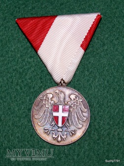 Medal za zasługi dla Wiednia (?)