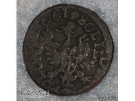 Duże zdjęcie szeląg koronny 1661 4