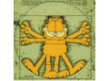 Vitruvian Garfield