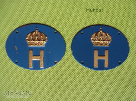 Szwecja-oznaka specjalności wojskowej: Hemvärnet