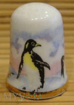 (5) naparstek- pingwin