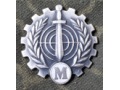 Odznaka Klasowego Specjalisty Wojskowego klasy M