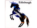magnes z Edynburga - jednorożec w szkocką flagę