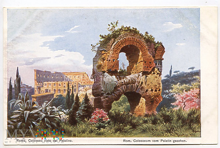 Roma - Koloseum widziane z Palatynu
