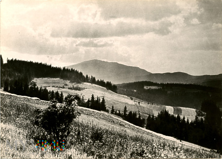 Beskid Wysoki - Babia Góra (1725 m)