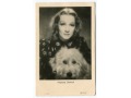 Marlene Dietrich pies Piękne Oczy dog postcard