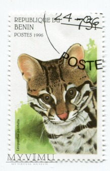 Koty dzikie Benin 1996 zestaw znaczki