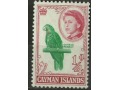 Cayman Parrot