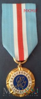 Duże zdjęcie Odznaka Zasłużony Działacz ORMO