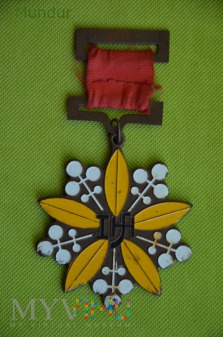 Manchukuo JiLin Police Memorial Medal