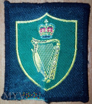 Royal Irish Regiment trf