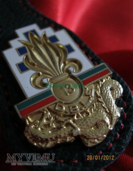 odznaka 13ème Demi-brigade de Légion étrangère