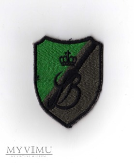 9 Brygada Kawalerii Pancernej - polowa.
