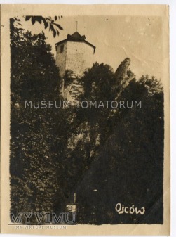 Zamek w Ojcowie - 1949
