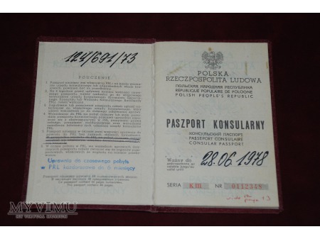 Paszport konsularny