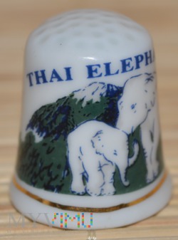 Duże zdjęcie Tajlandia/Dzień Słonia