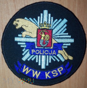 Wydział Wywiadowczy KSP (2)