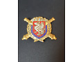 Pamiątkowa odznaka 19 Pułku Artylerii - Francja