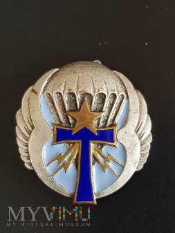 Odznaka 61 Batalionu Łączności w Powietrzu_Francja