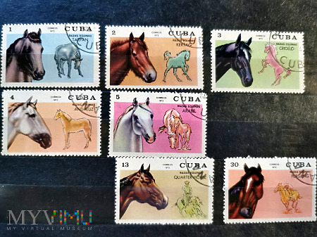 rasy koni - znaczki z Kuby