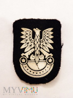 Orzełek wz. 71 na czarny beret LWP - guma