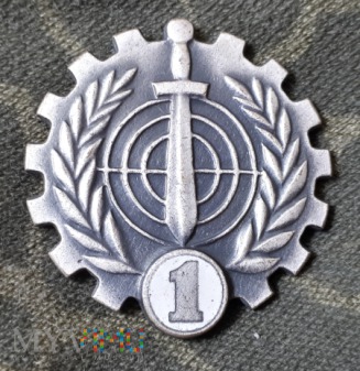 Odznaka Klasowego Specjalisty Wojskowego klasy 1
