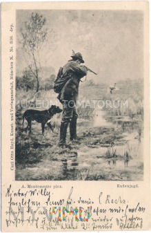 Montemezzo - Polowanie na kaczki - 1898