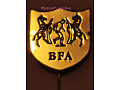 BFA - Burkina Faso Football Association