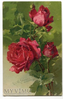 Catharina C. Klein piękne kwiaty Flowers róże