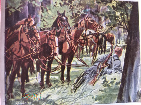 Duże zdjęcie konie czekają na walczących kawalerzystów
