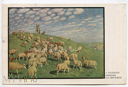 Volkmann - Wypas owiec i baranów - wyd. 1911