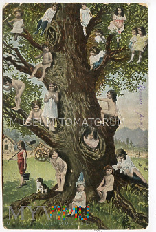 Drzewo obfitości - 1905