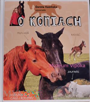 Dorota Kozińska opowiada o koniach