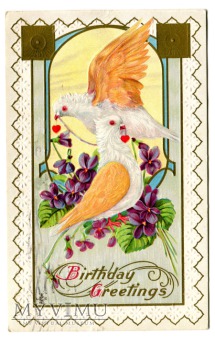 Duże zdjęcie 1912 Ptaszki i życzenia urodzinowe pocztówka