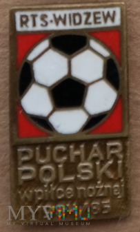 Widzew Łódź 30 - Puchar Polski 85 - brązowa