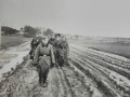 W marszu przez pola 1939