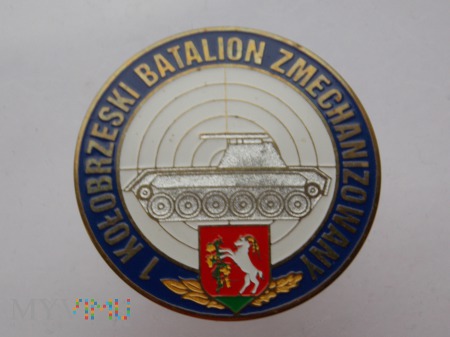 1 Kołobrzeski batalion zmechanizowany-3 BZ