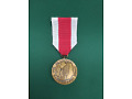 Złoty Medal „Za zasługi dla obronności kraju”