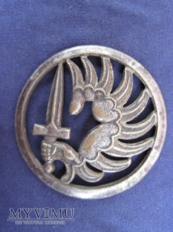 Odznaka TAP beret/Beraudy